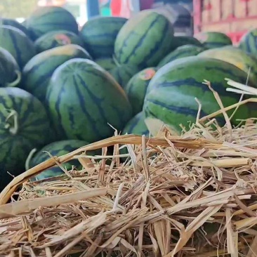 【推荐】云南甜王西瓜，山地种植，双红瓤，甜度高