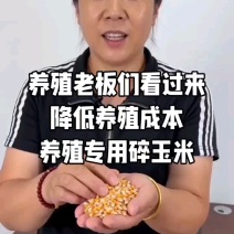 碎玉米，净粮碎玉米，干玉米，玉米碎，玉米下脚料