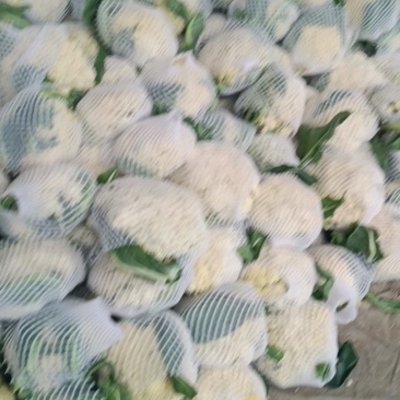 油精花菜几毛钱，没面通货，食堂拿货！