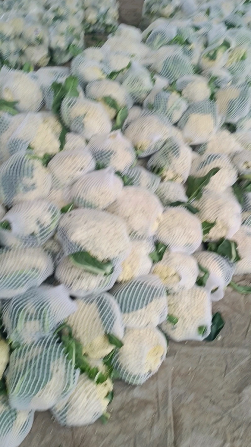 油精花菜几毛钱，没面通货，食堂拿货！