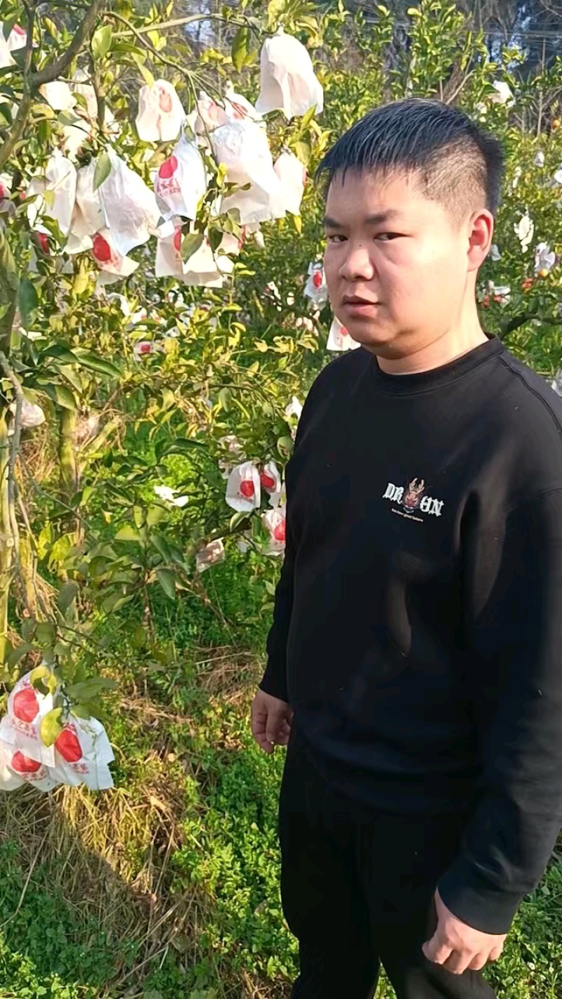 眉山精品耙耙柑，大量现货速发，保质保量欢迎选购