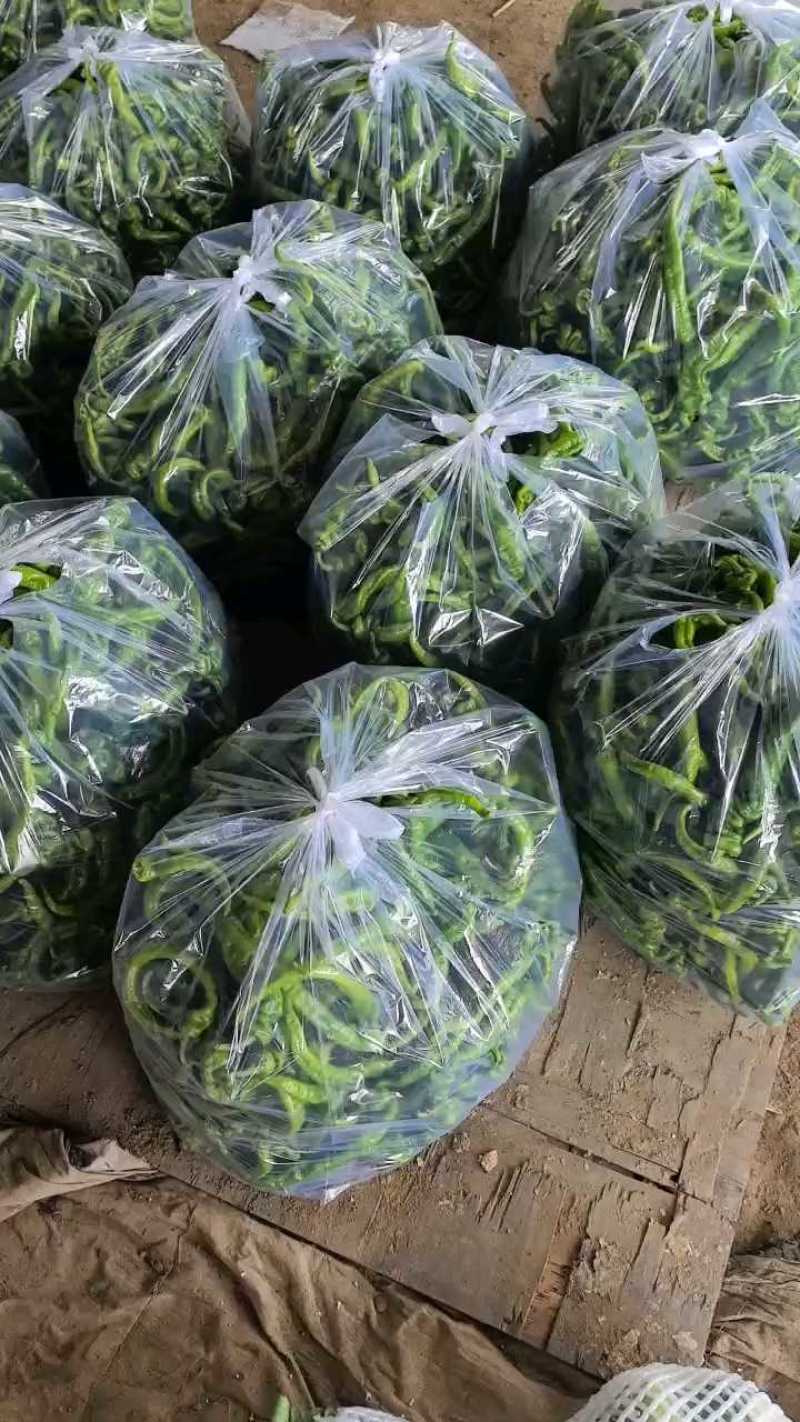 螺丝辣椒少量上市，硬度好可配车！