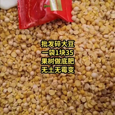 精品碎黄豆，上地养殖，榨油压饼
