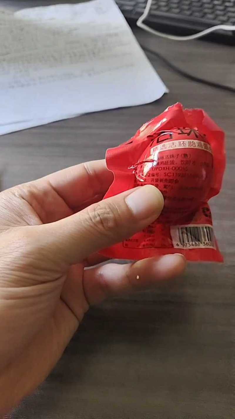 13天红壳活珠子