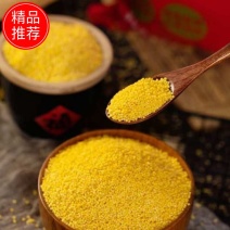 小米中的劳斯莱斯，一级内蒙k1有需要联系