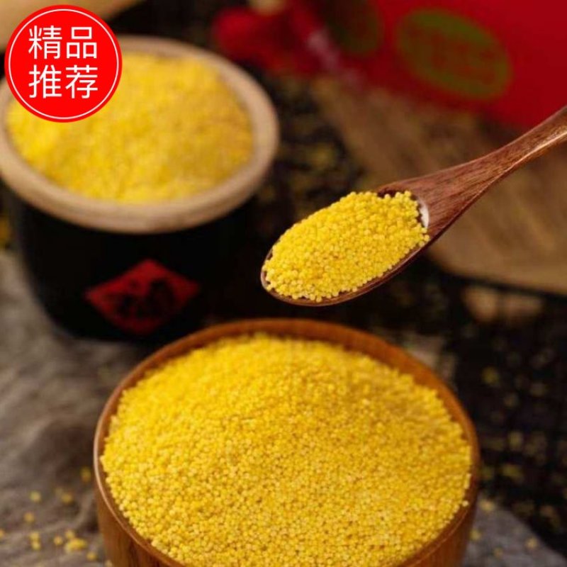 小米中的劳斯莱斯，一级内蒙k1有需要联系