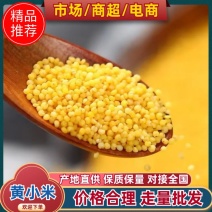 厂家直销黄小米，质量很好，品种齐全，欢迎经销商咨询