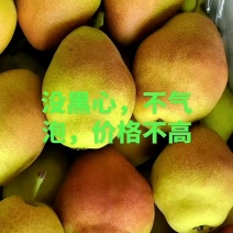 （精品红香苏梨）红香苏梨，水分充足，口感甜脆，产地直发。