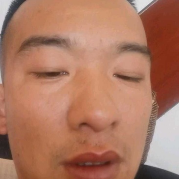 美早大樱桃大果30元，品质好货量少