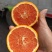 中华红血橙脐橙橙子🍊产地直发量大从优可对接全国