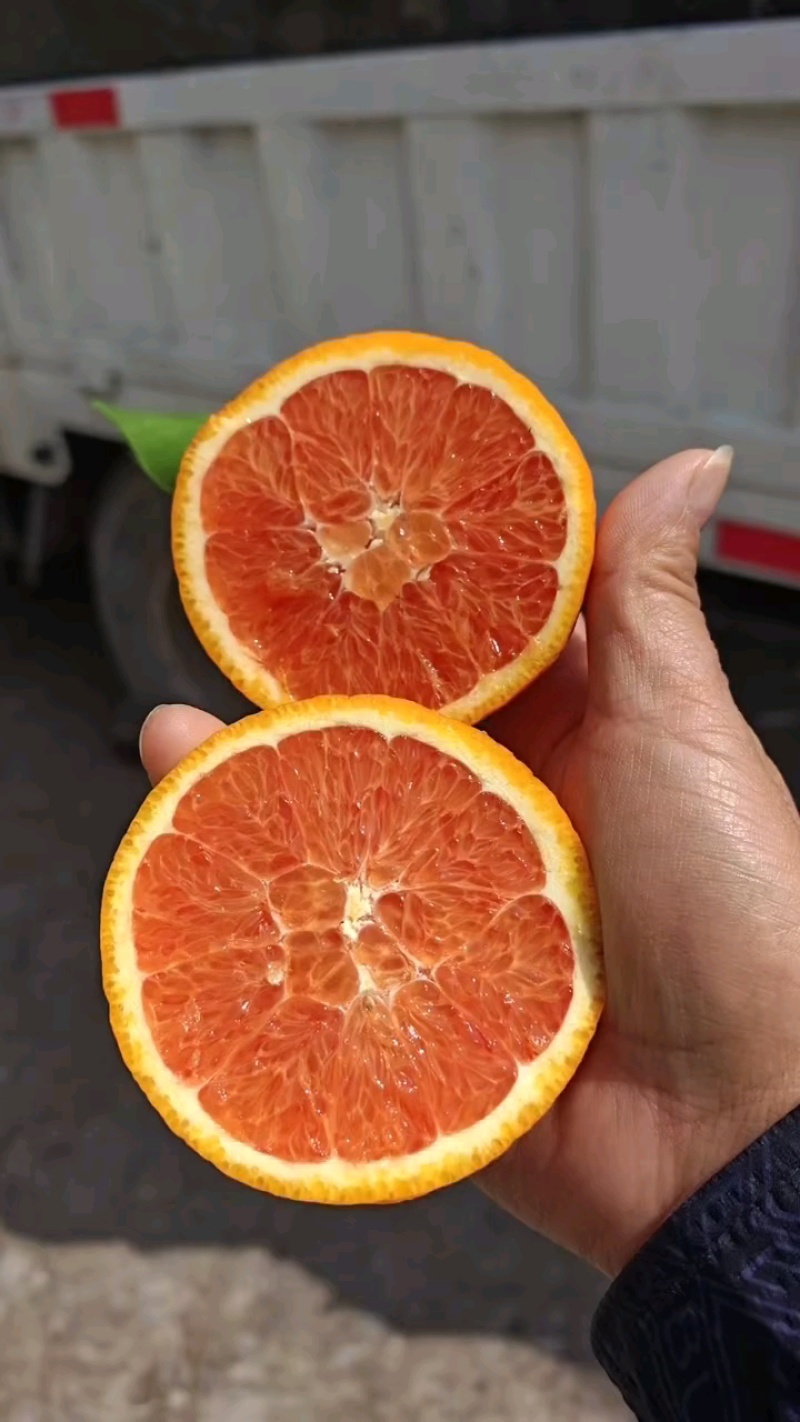 中华红血橙脐橙橙子🍊产地直发量大从优可对接全国