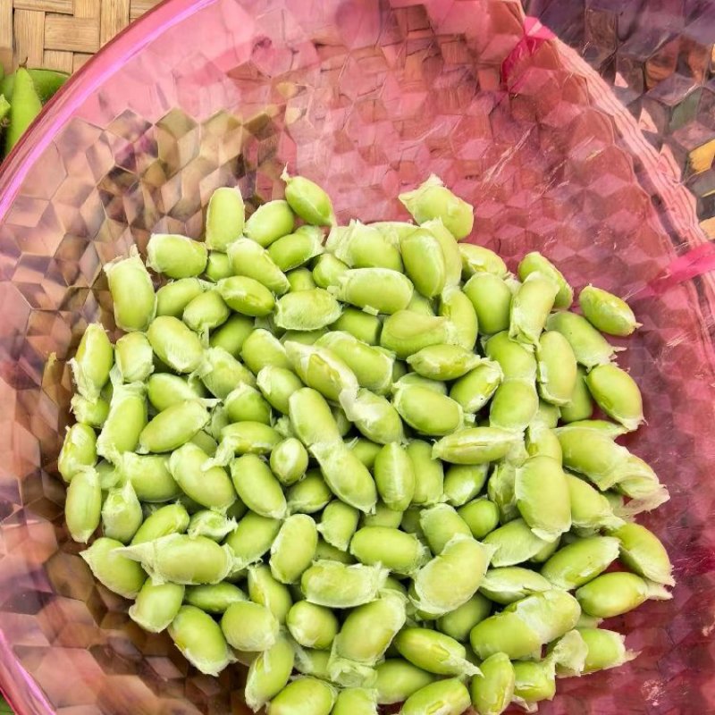 绿宝石毛豆产地直销量大质优价格优惠一手货源欢迎咨询