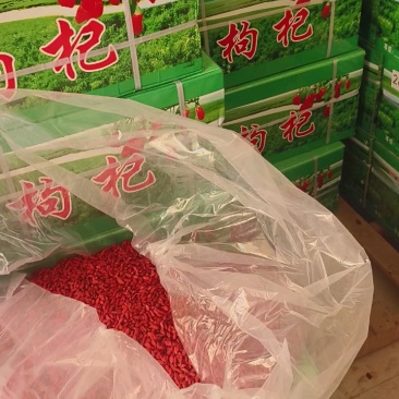 【精品】宁夏枸杞品质保证，产地直发，包邮包退欢迎致电