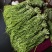 精品贡菜高原优质贡菜规格齐全量大从优欢迎来电
