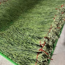 精品贡菜高原优质贡菜规格齐全量大从优欢迎来电