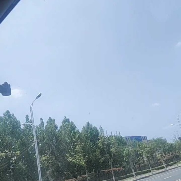 精品红帽蒜苔有需要的艾特我。
