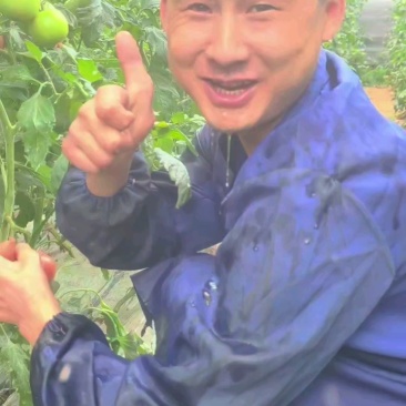 快来尝尝！水分足，味道真！