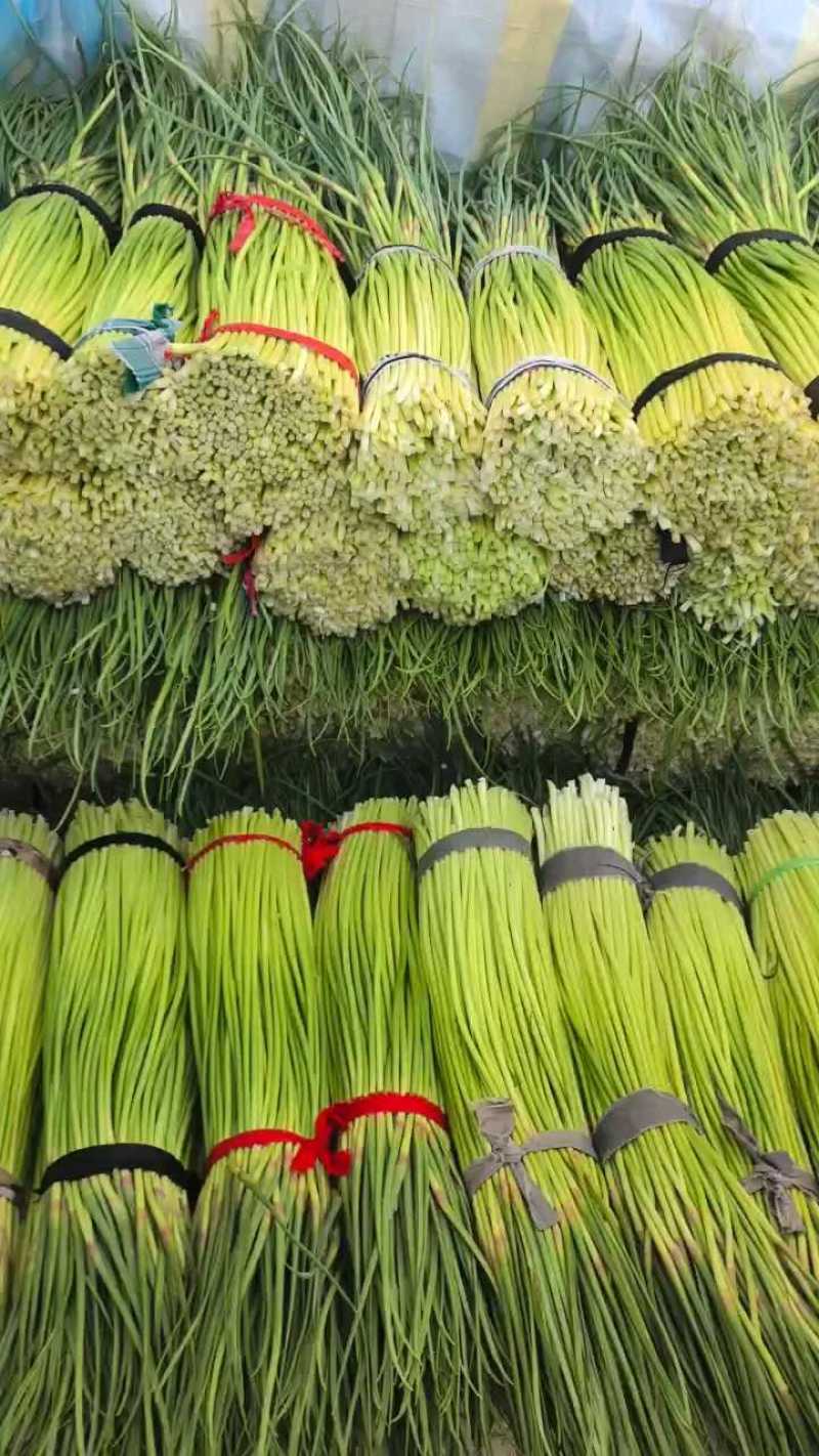 长红帽台子，质量好，一块钱主流价！