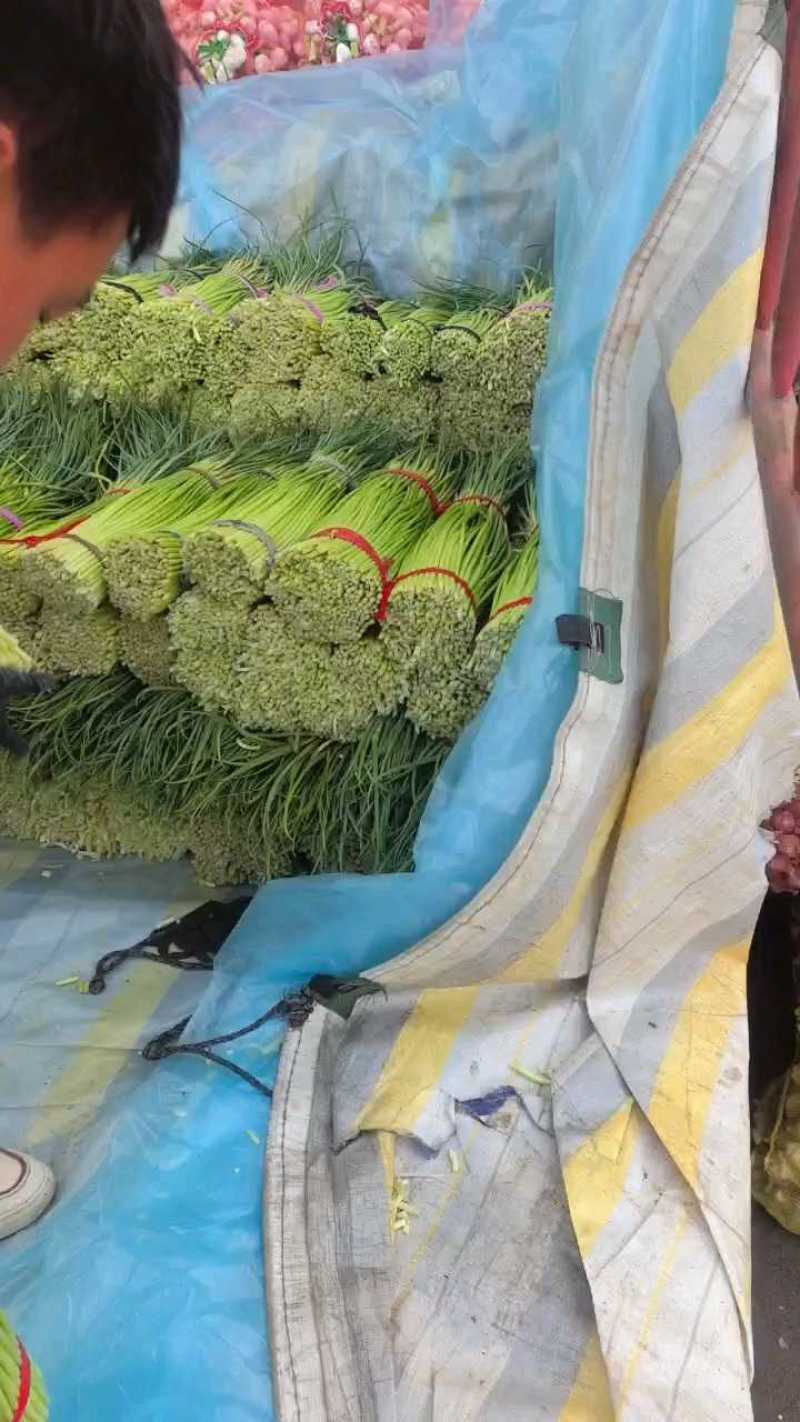 精品台子冲刺价，一元左右大量有货！