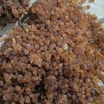 沂蒙山区里的优质手捡出来的自然桃胶，零售批发，产地直发