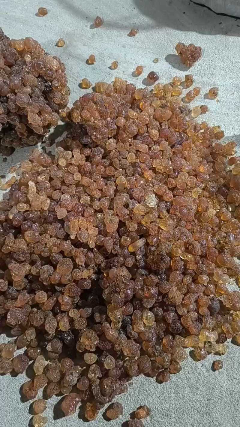沂蒙山区里的优质手捡出来的自然桃胶，零售批发，产地直发
