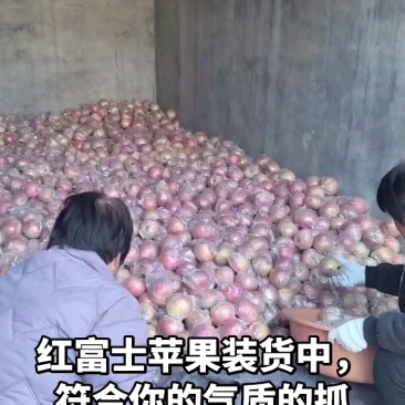 红富士苹果