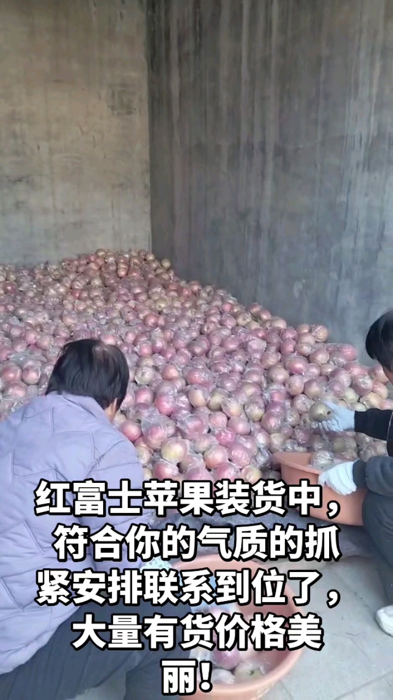 红富士苹果