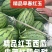 早春红玉西瓜/小吊兰瓜砀山西瓜/皮薄红瓤【可全国发货】