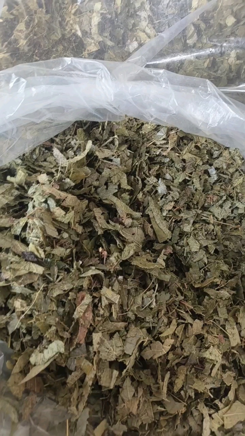 淫羊藿炙淫羊藿养火叶羊油炙祥泰药材栈中药材批发零