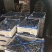 蓝莓花香L25优瑞卡L11F6品种齐全品质保证