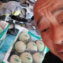 精品玉菇收购价2.3元，好货质量佳！