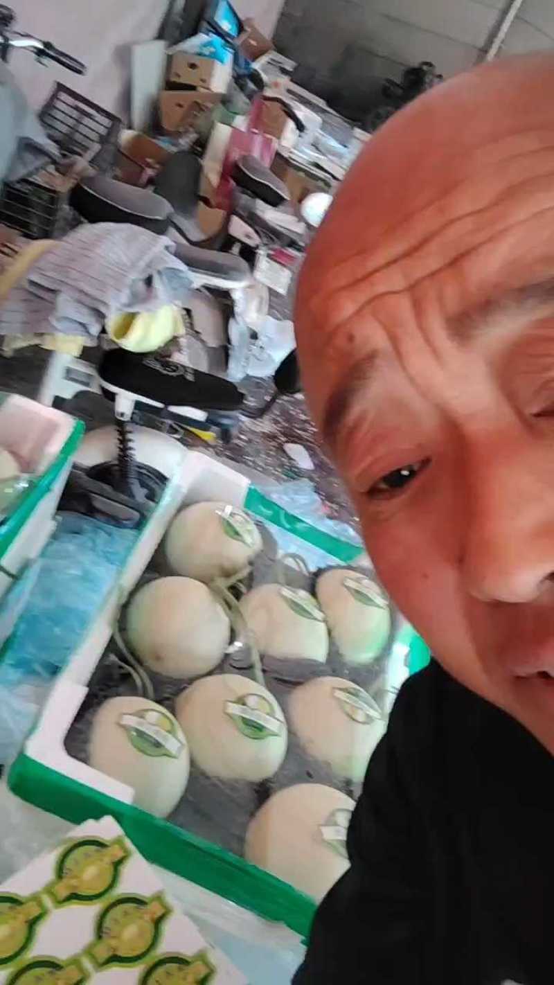 精品玉菇收购价2.3元，好货质量佳！