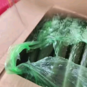 嘎嘎好的扣底黄瓜带刺新鲜鲜嫩翠绿条形好硬度好耐运输储存