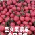 山东聊城千喜圣女果园粉，贝贝大量上市货源充足