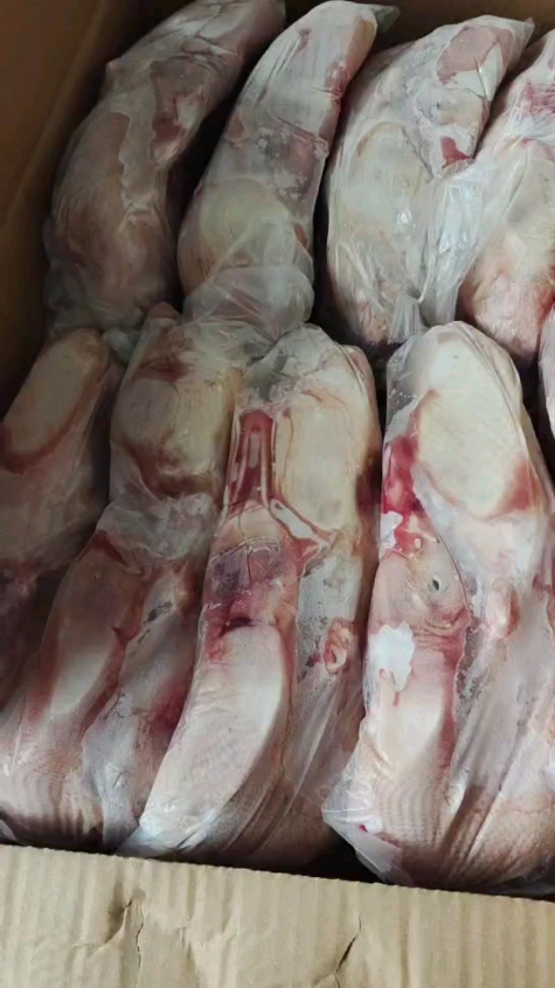 白条鸭一箱10个，质量**好！