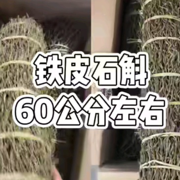 石斛铁皮石斛石斛干条霍山石斛