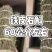 石斛铁皮石斛石斛干条霍山石斛