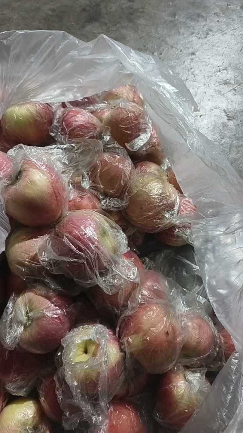 山西万荣纸加膜小果大量有货，纸浆模小锅充足。