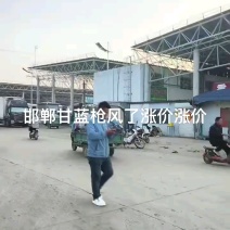 河北邯郸甘蓝大量有货，欢迎咨询实地看货代办一条龙服务
