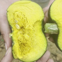 四川正宗贝贝南瓜，粉糯香甜，面粉级别，大量供应，货源充足