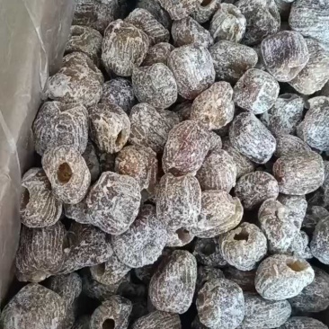 无核干蜜枣金丝硬蜜枣各种规格价格低