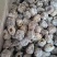 无核干蜜枣金丝硬蜜枣各种规格价格低