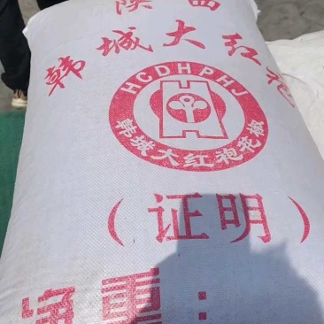新货四川青麻椒色选青麻椒无籽无刺青麻椒《支持看货》