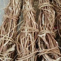 【精选速购】野生五指毛桃产地直供纯野生货品保质保量
