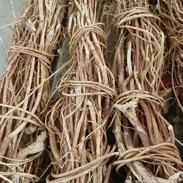 【精选速购】野生五指毛桃产地直供纯野生货品保质保量