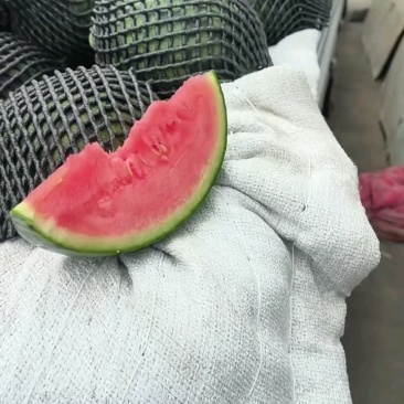 小糖丸西瓜，箱装框装现货充足！