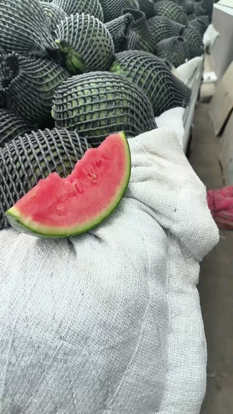 小糖丸西瓜，箱装框装现货充足！
