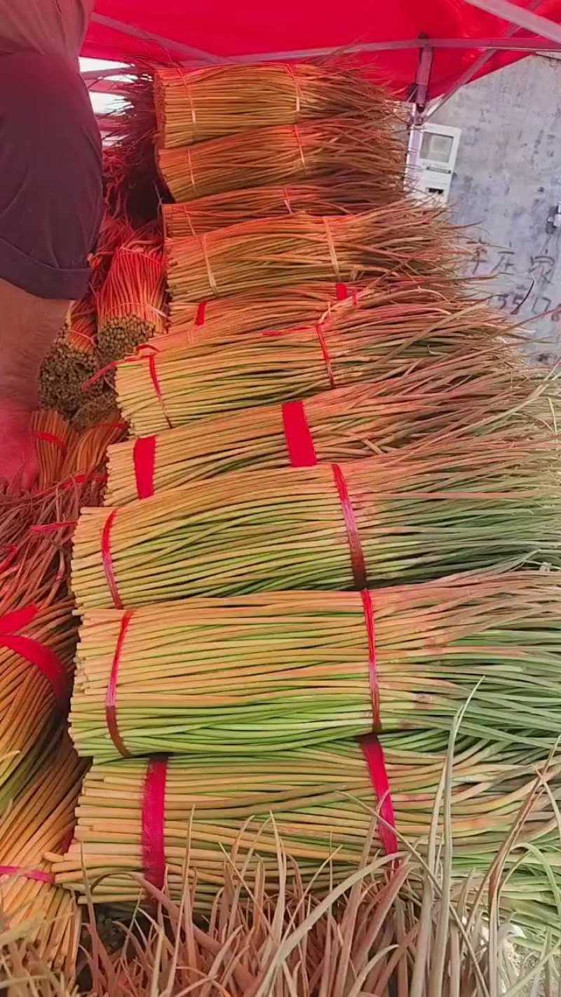 河南开封，精品蒜薹红帽蒜薹产地直达对接电商市场等