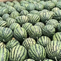云南甜王西瓜，电商，商超，包熟包甜，保质保量
