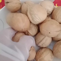 新疆薄皮核桃185纸皮核桃对接电商批发零售一手货源可代发